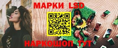 мяу мяу мука Моздок