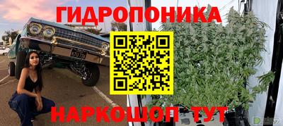 гидра Можайск
