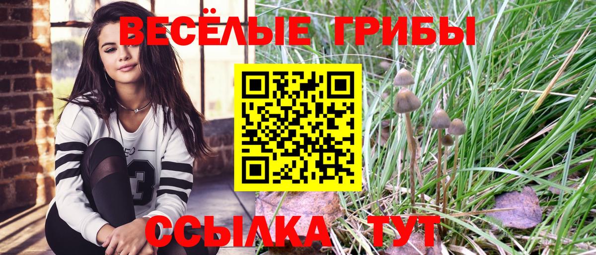 Псилоцибиновые грибы ЛСД  Псилоцибиновые грибы ЛСД  где купить наркотик  Вход с VPN  Верхний Уфалей 